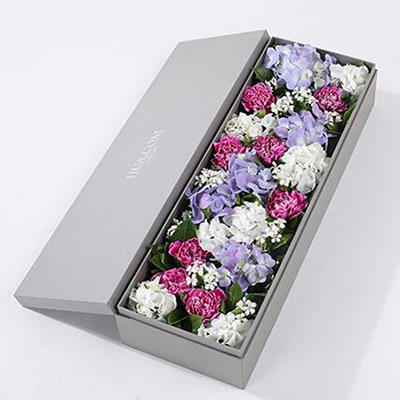 紫色白邊康乃馨8枝、白繡球1枝、藍(lán)紫色繡球1枝